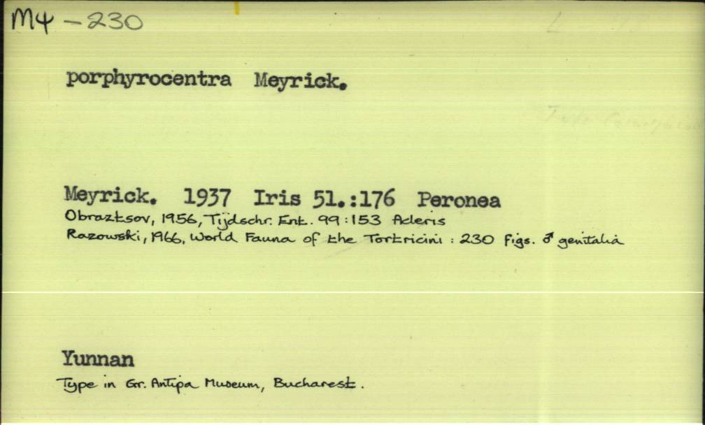 front of card